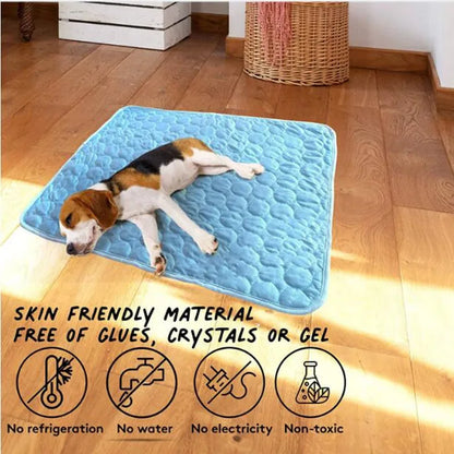 Zovae FrostMat™ – Self-Cooling Dog Mat."