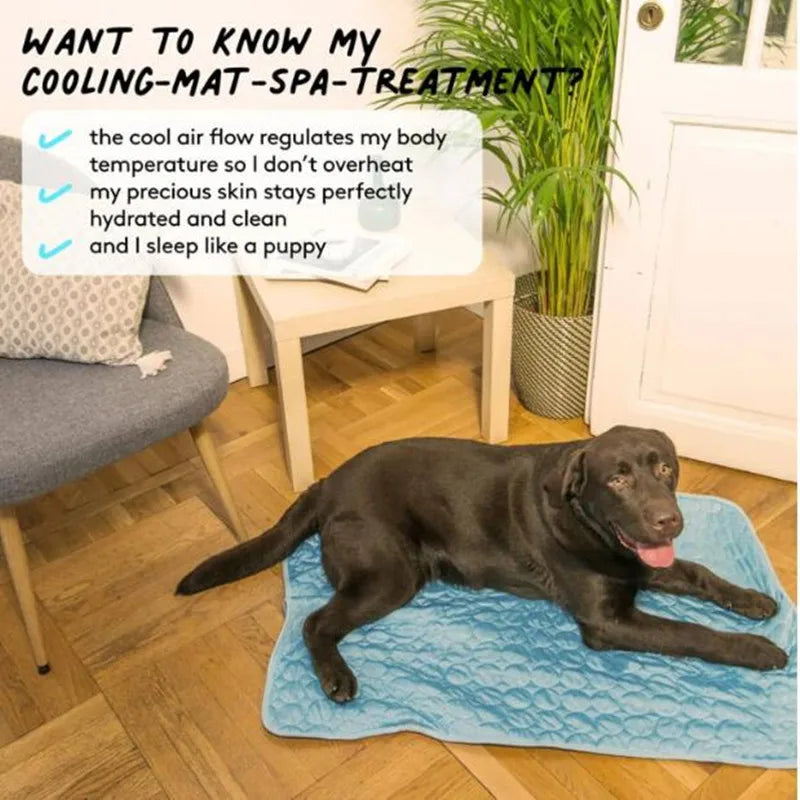 Zovae FrostMat™ – Self-Cooling Dog Mat."