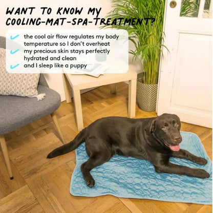 Zovae FrostMat™ – Self-Cooling Dog Mat."
